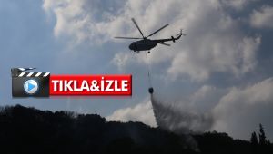 Kocaeli’deki orman yangını 2 buçuk saatte söndürüldü