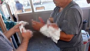 Kocaeli'nin acemi kasap bilançosu açıklandı