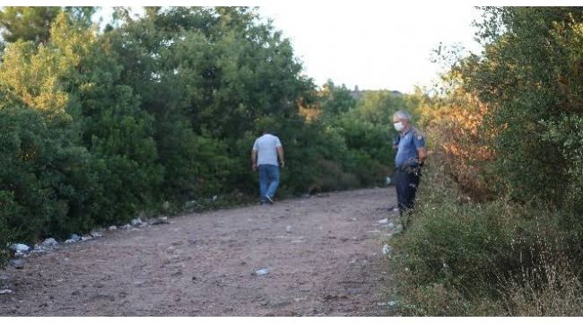 Ormanlık alanda silahlı kavga: 2 yaralı