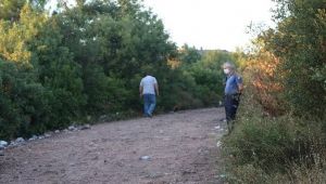 Ormanlık alanda silahlı kavga: 2 yaralı