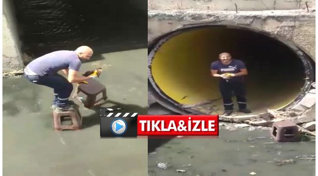 Yavru kediyi kurtarmak için kanalizasyona girdi