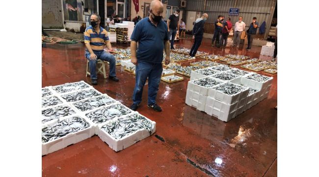 Balık halinde sezonun ilk düdüğü çaldı