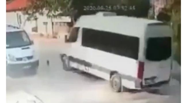 Ezdiği kedi can çekişirken bir kez daha üzerinden geçti