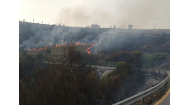 Kocaeli’nin 11 bölgesinde orman yangınları çıktı