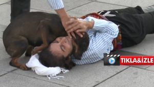 Yaralı rolü yapan tiyatro oyuncusuna sokak köpeğinden şefkat