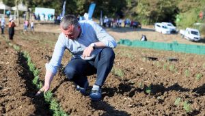 ‘’Akıl dolu bilimsel işler tarımla buluşacak’’