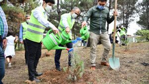 Çayırova’da 81 il için 81 fidan dikildi