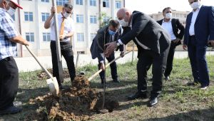 Darıca’da okul bahçelerine fidan dikiliyor