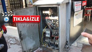 Elektrik panosuna giren fare telef olunca iş merkezini elektriksiz bıraktı