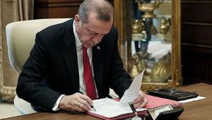 Erdoğan'ın imzasıyla 3 bakanlıkta yeni atama kararları