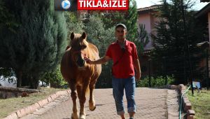 Furkan’ın hayata bağlandığı okulu ekmek kapısı oldu
