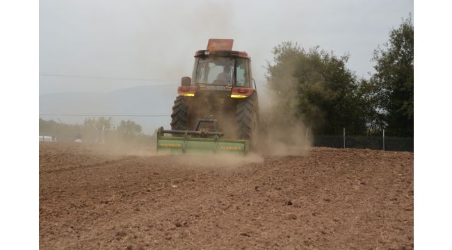 İzmit Belediyesi “Süper meyve” aronya yetiştirecek