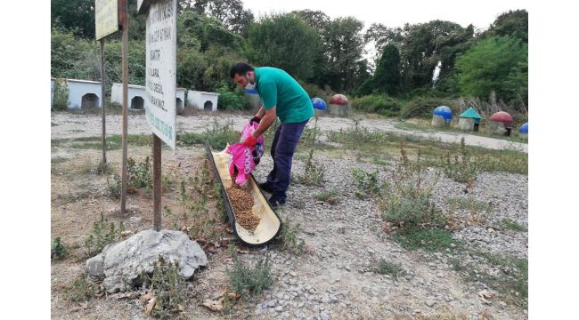 Kartepe Belediyesi, sokak hayvanlarını unutmadı