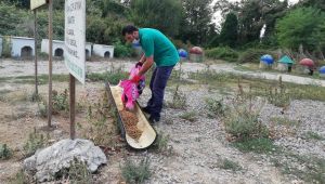 Kartepe Belediyesi, sokak hayvanlarını unutmadı