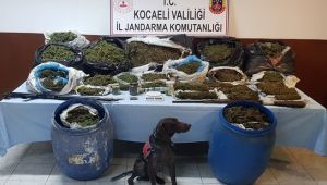 Kocaeli'de 61 kilo uyuşturucu ele geçirildi