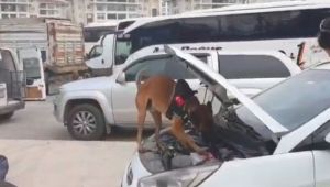 Kocaeli'de aracın LPG tankından kilolarca esrar çıktı