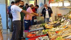 Kocaeli'de hamsinin fiyat 40 TL