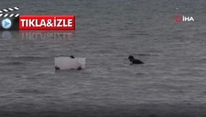 Kaçak midye avcıları polisi görünce denize kaçtı