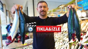 Palamuttaki bolluğun bitmesi, fiyatı ikiye katladı