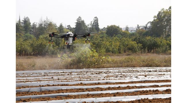 Tarım ve Orman Bakanı Bekir Pakdemirli drone ile tarla ilaçladı