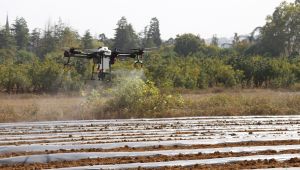 Tarım ve Orman Bakanı Bekir Pakdemirli drone ile tarla ilaçladı