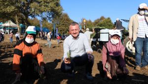 Türkiye’ye örnek olacak projede ilk adım atıldı