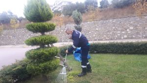 Yeşil alanlara sonbahar bakımı