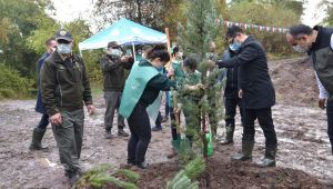 Başiskele’de fidanlar geleceğe nefes olacak