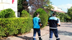 Büyükşehir'in sivrisinekle mücadelede büyük başarısı