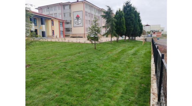 Ekipler yeşil Körfez için çalışmalarını sürdürüyor