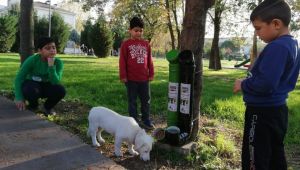 Kartepe’nin sevimli dostlarına yeni kaplar