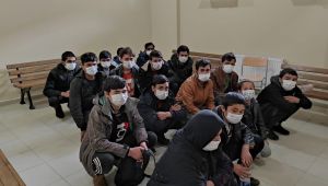 Kocaeli’de 16 düzensiz göçmen yakalandı
