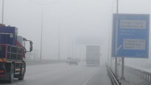 Kocaeli'nde yoğun sis etkili oluyor