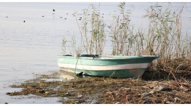 Kocaeli'nin de içme suyunu karşılayan Sapanca Gölü için tehlike çanları çalıyor!