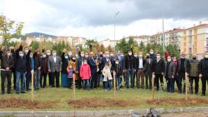 MHP'den 52. yıla ve Hatay'a özel 52 fidan
