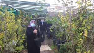 Pandemi süreci fidan satışlarını patlattı