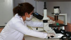 Akciğer kanseri tedavisi için umutlandıran haber