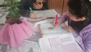 Bilgievleri öğrencilerine çevrimiçi deneme sınavları