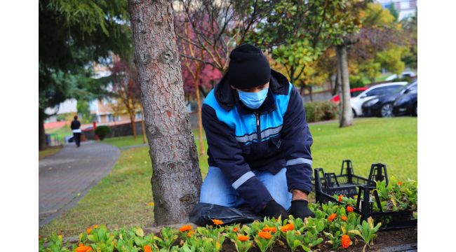 Çayırova’da mevsimlik çiçek dikimi