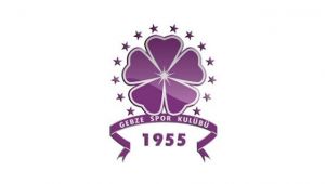 Gebzespor'dan suni çim açıklaması
