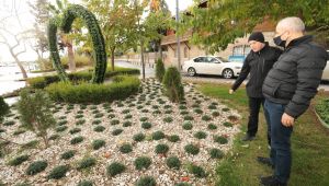 Herşey daha yeşil bir Gebze için