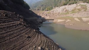 Kuraklık daha tehlikeli hastalıklara yol açacak