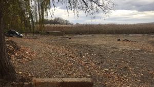 Sapanca Gölü’nün son hali görenleri şaşırtıyor