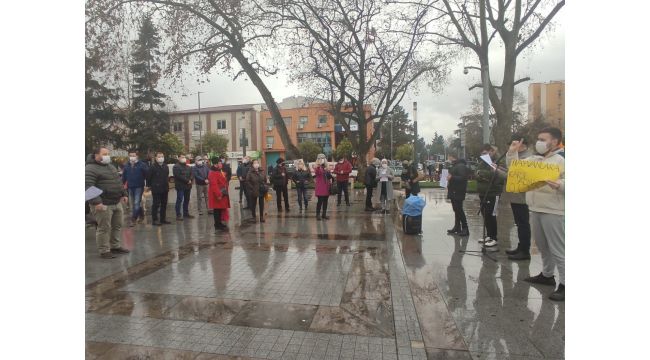 Sokak hayvanlarına eziyete tepki gösterdiler