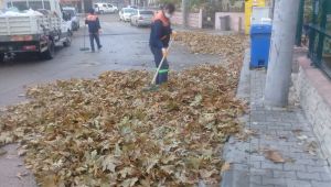 Temizlik görevlilerinin yaprak mesaisi