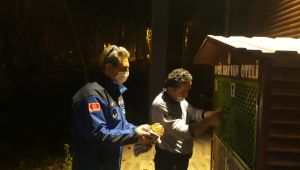Yaralı baykuşa zabıtadan yardım eli