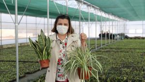 Yaşam Bahçesi'ndeki bitkilerin üretimi başladı