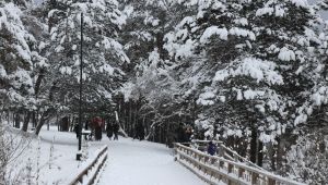 Abant Tabiat Parkı kar yağışıyla tatilci akınına uğradı