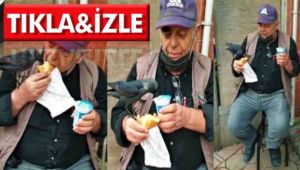 Darıcalı vatandaşın karga ile imtihanı