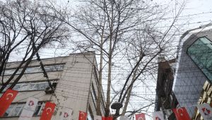 Fethiye Caddesi'ndeki ağaçlar budanacak
